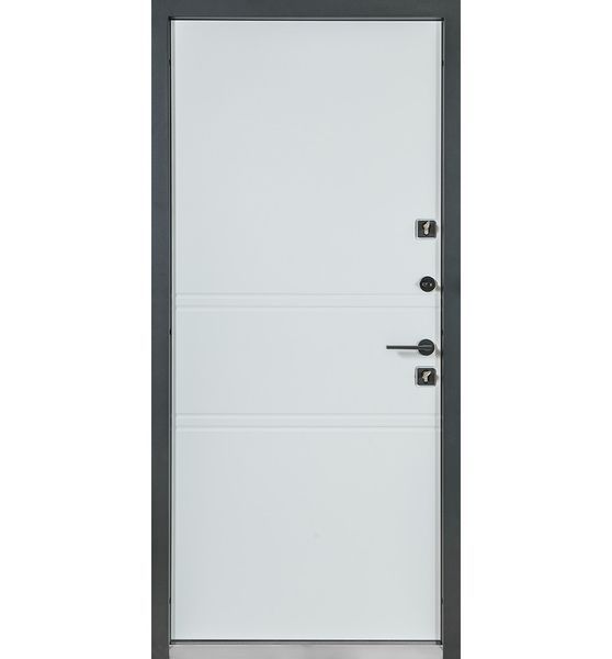 Вхідні двері вуличні COTTAGE Kale, модель 703/237, колір: metalic grey/білий атласний cot0006 фото